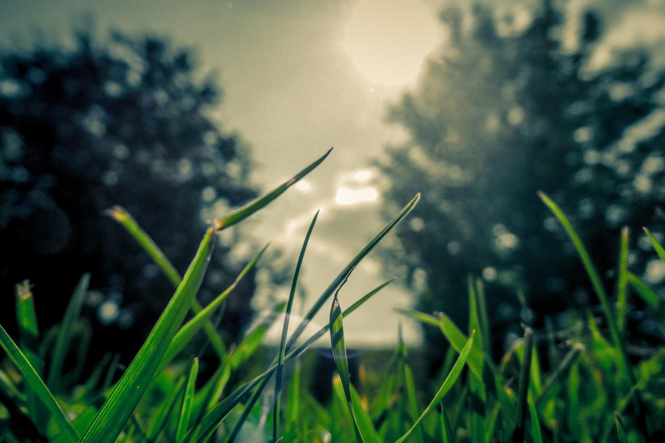 Quia dolorem ipsum ducimus inventore dignissimos consequatur nihil ea